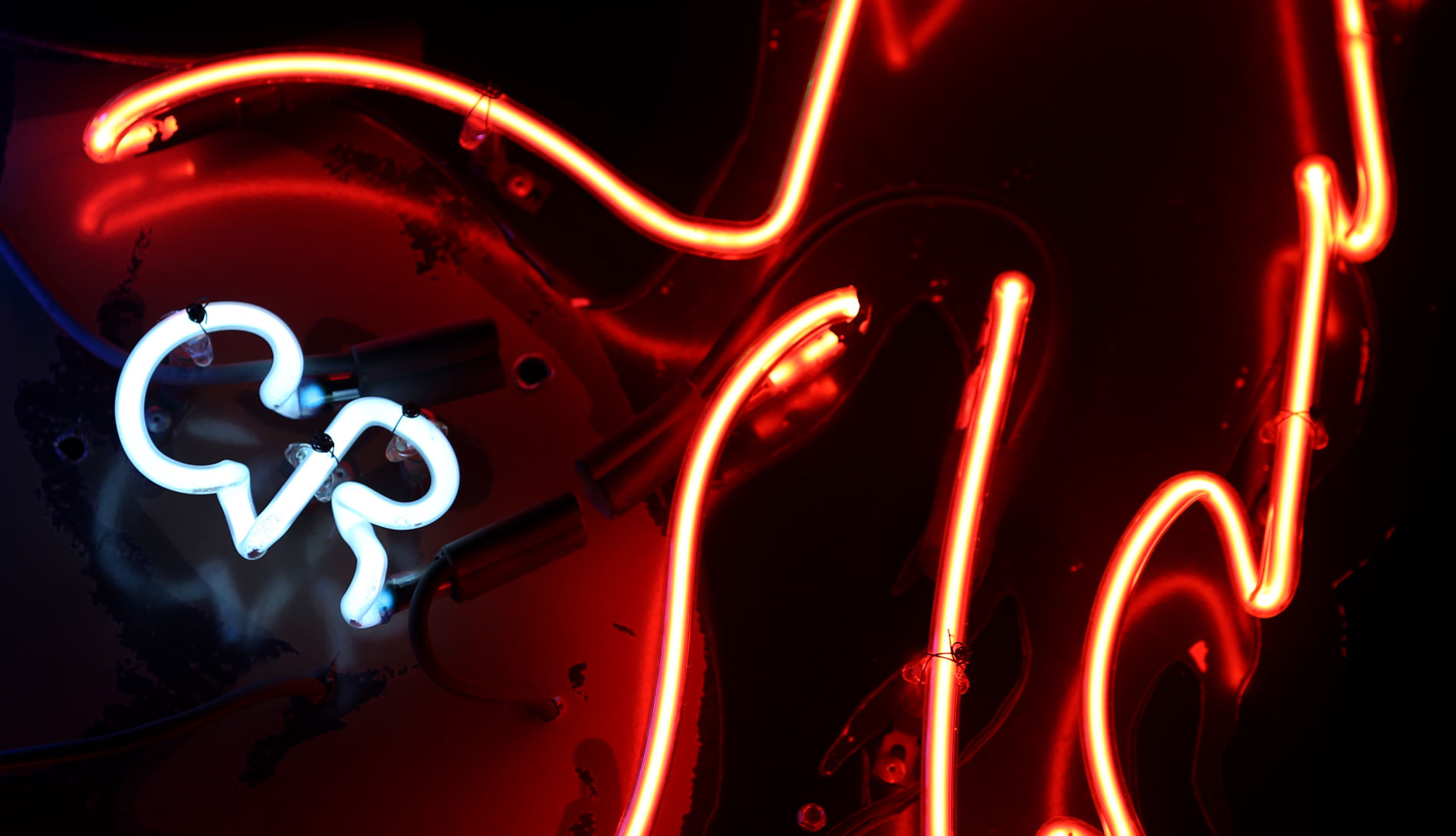 Neon clue No. 33